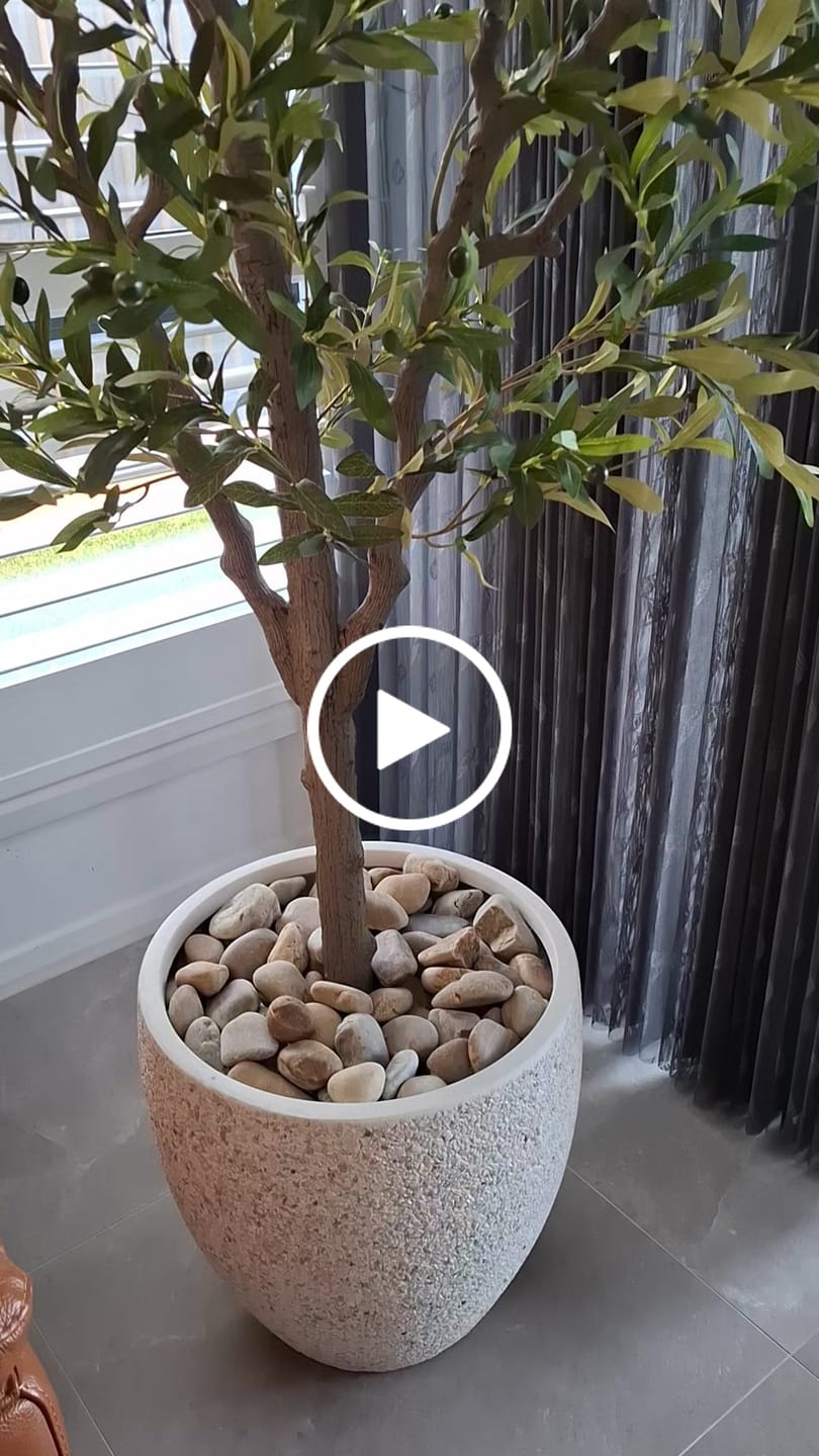 Customer video review of Artificial Bushy Olive Tree With Olives 180cm