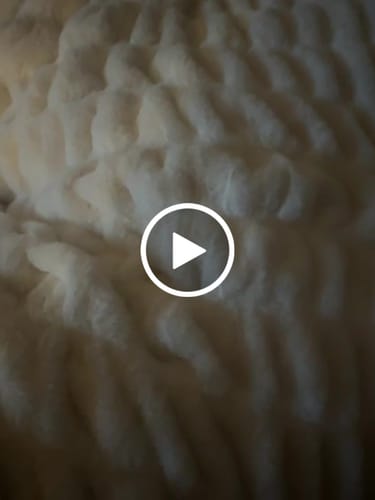 Customer video review of Hugs Cream Blanket