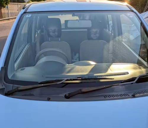Customer photo review of NightScare™ Headrest Cover