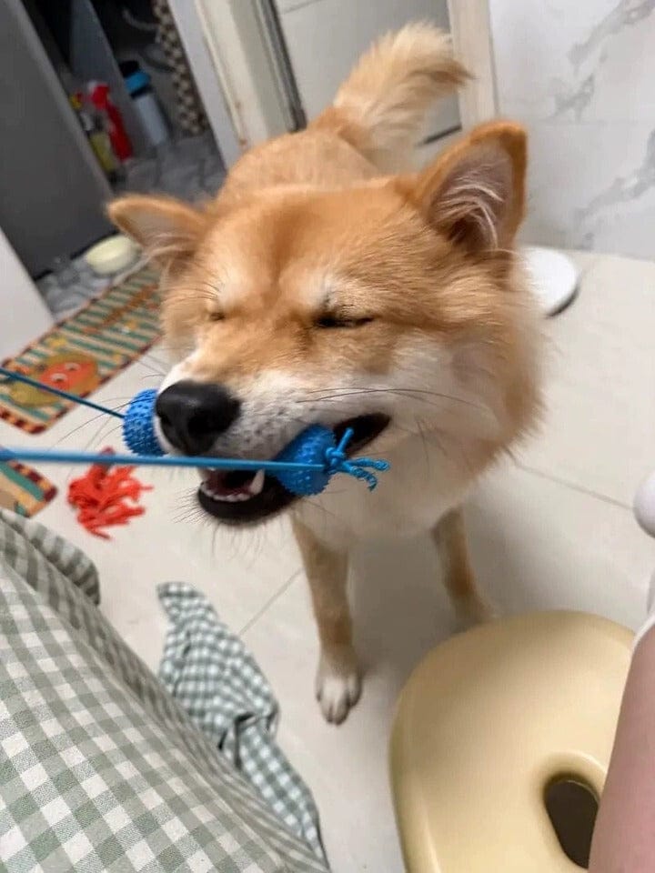 Customer photo review of Calming Assistant