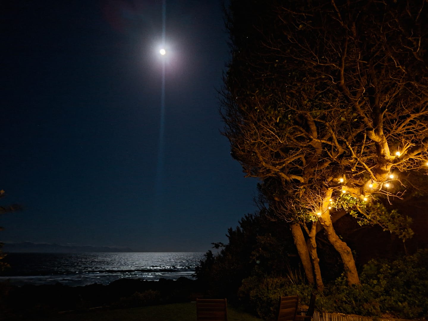 Customer photo review of Solar Mini Bulb String Lights