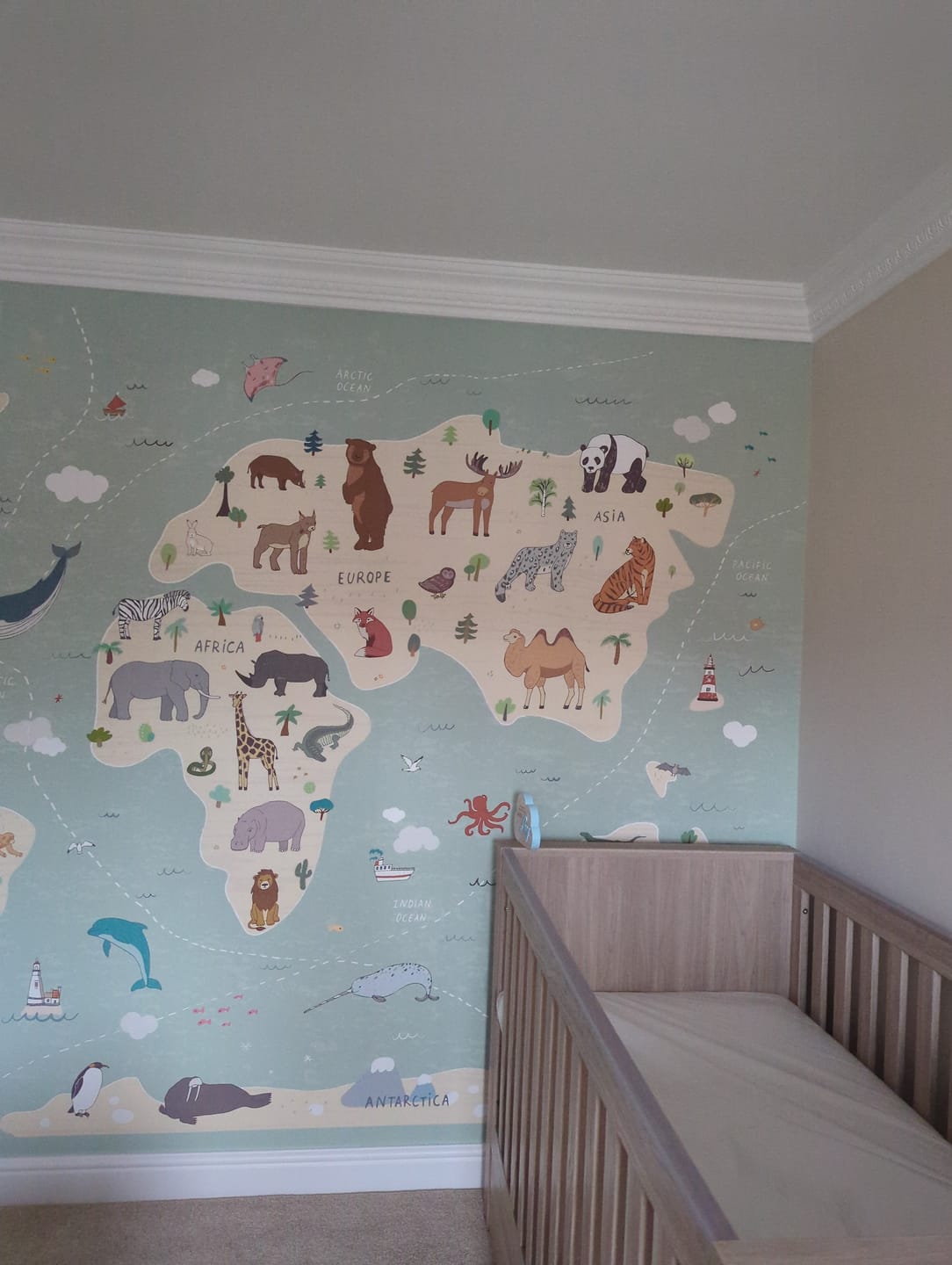 Customer photo review of Animal Atlas Opel - Green World Map Of Animals Wallpaper Mural
