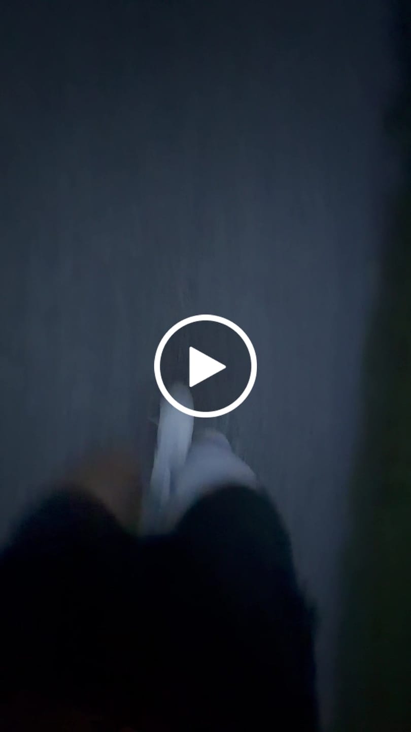 Customer video review of Compression Sleeves V2 for Knees and Legs