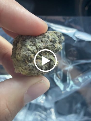 Sherblato Indoor - Bulk - Hybrid photo review