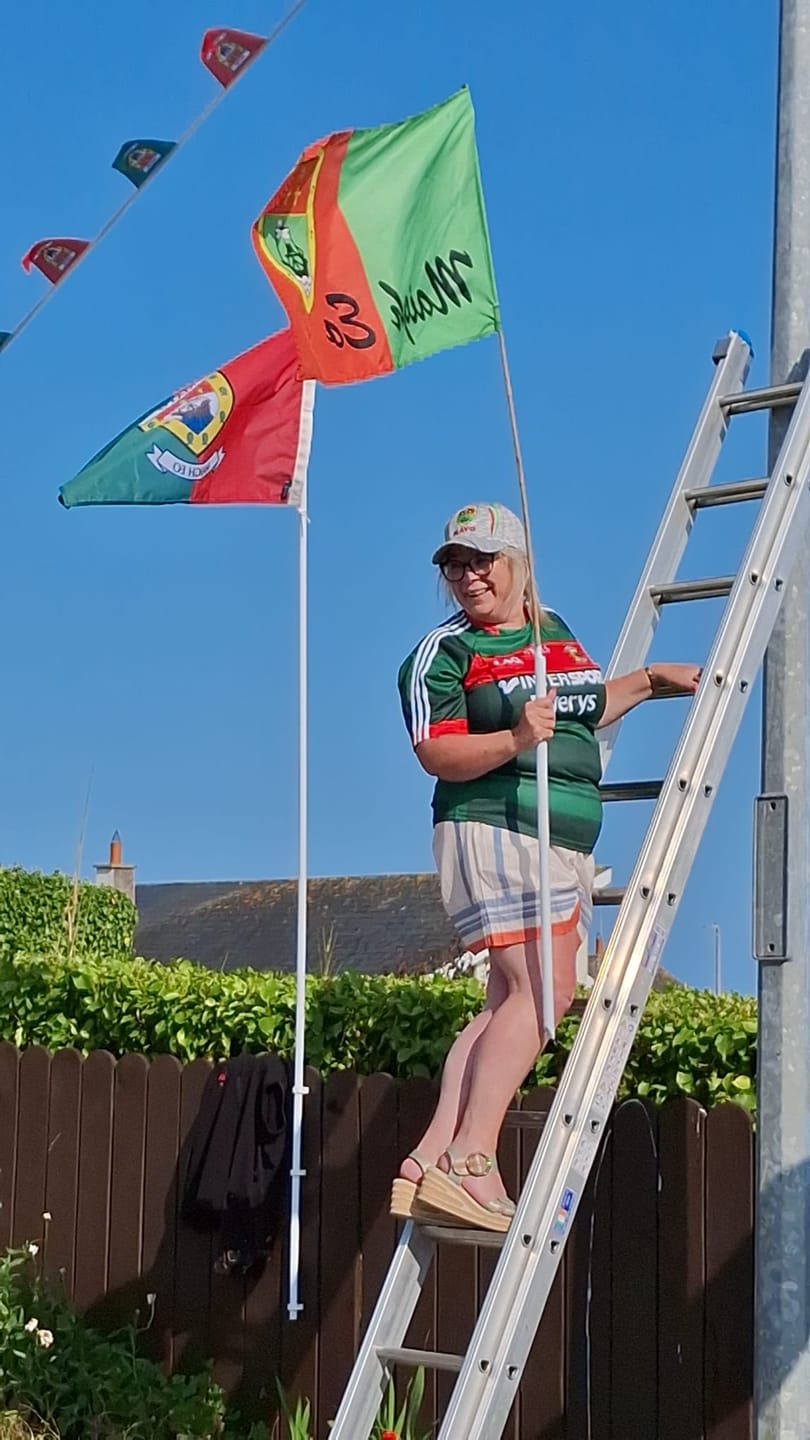 Customer photo review of Mayo County Crest Flag