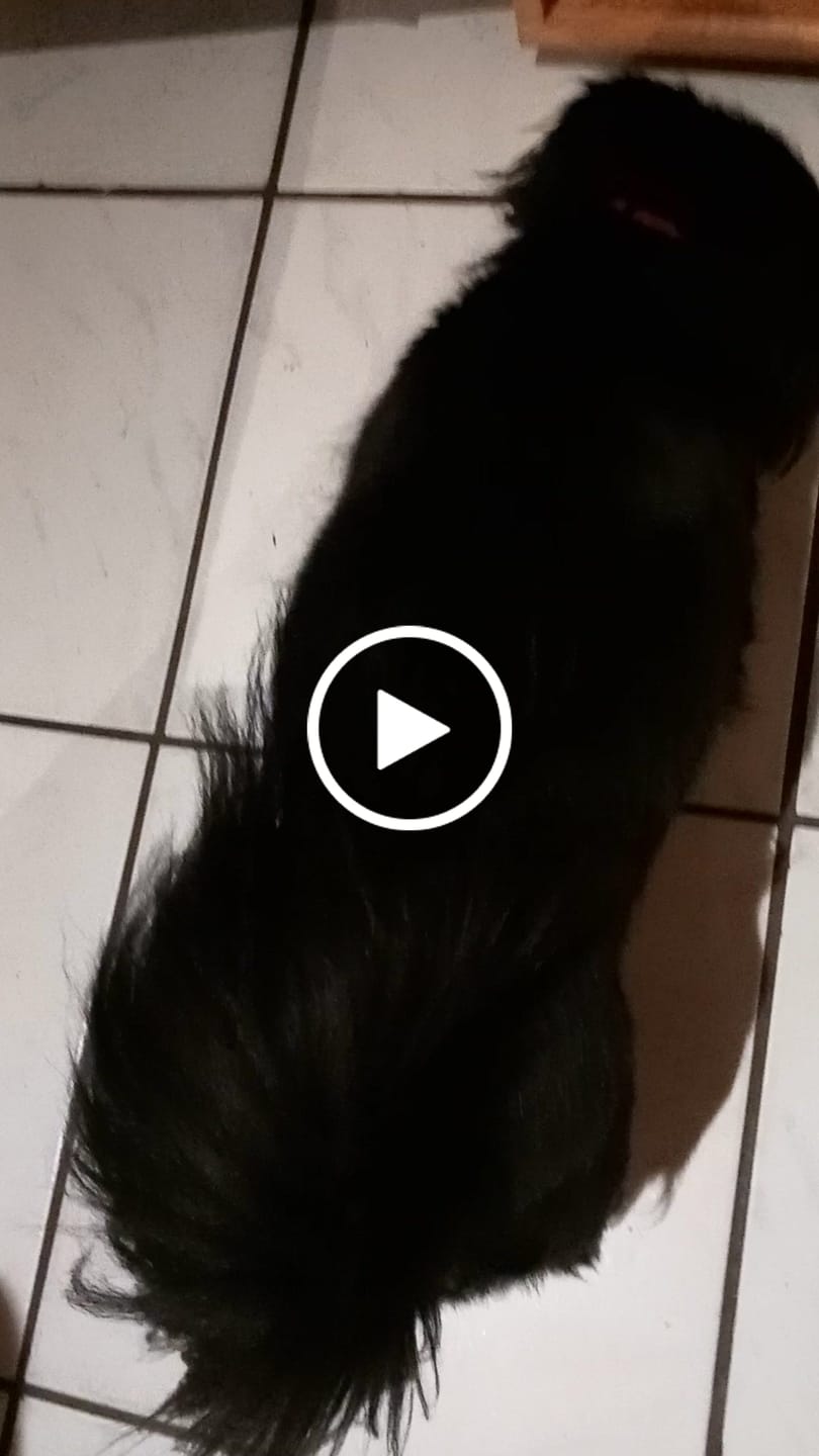 Customer video review of Frischfutter für Energiebedarf von 238 kCal/Tag