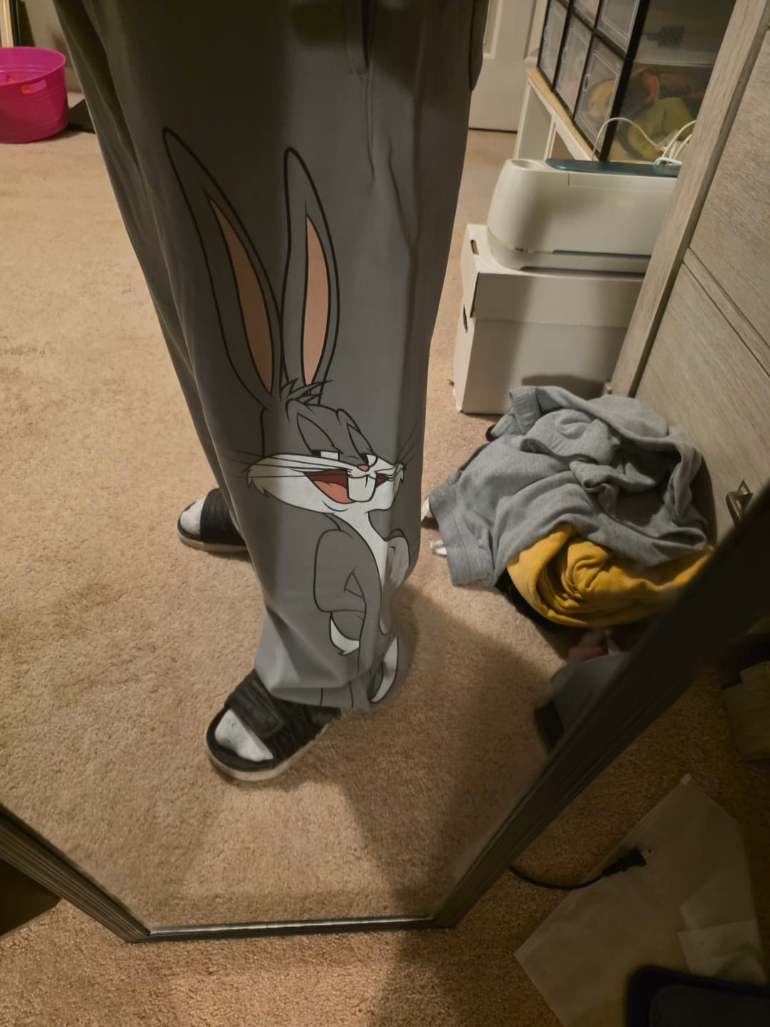 Customer photo review of 2169 - Looney Tunes Character Sweats