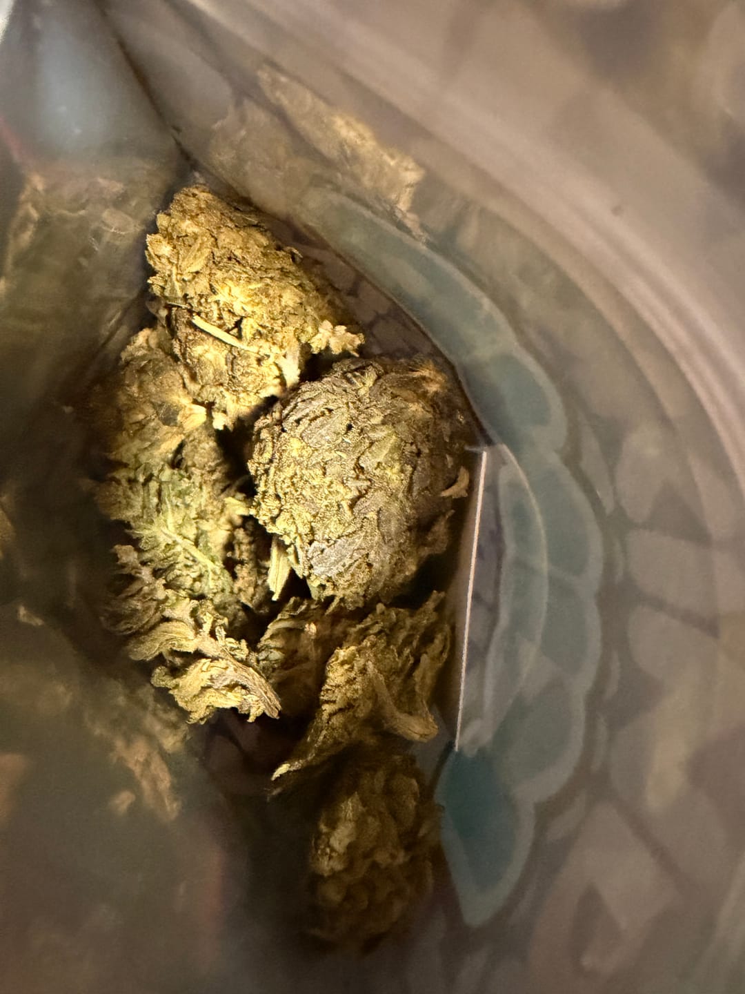 Customer photo review of Tropicana Cookies - Pack of Pre-Rolls (10 Pack) - Sativa
