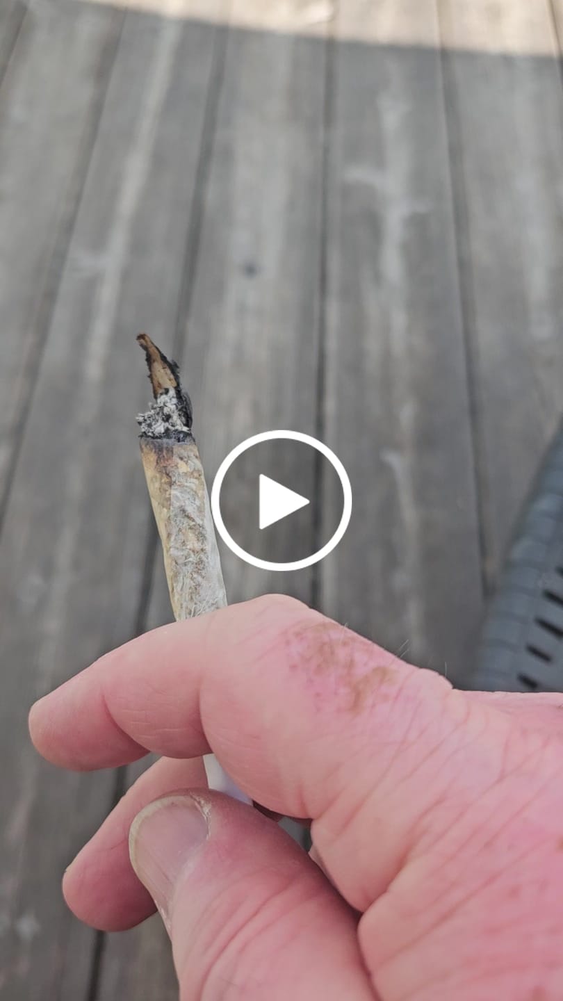 Customer video review of 💥 Diesel Dynamite - SATIVA TURBO LVL 5/5