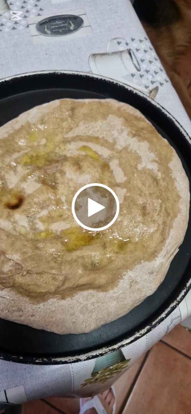 Customer video review of Base Pizza proteica