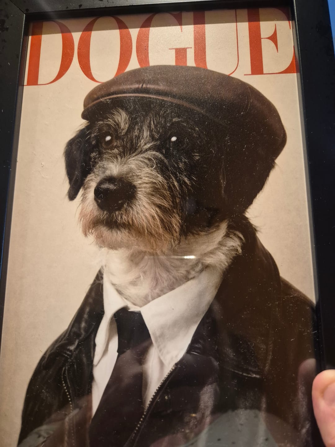 Customer photo review of Dogue - Poster personnalisé