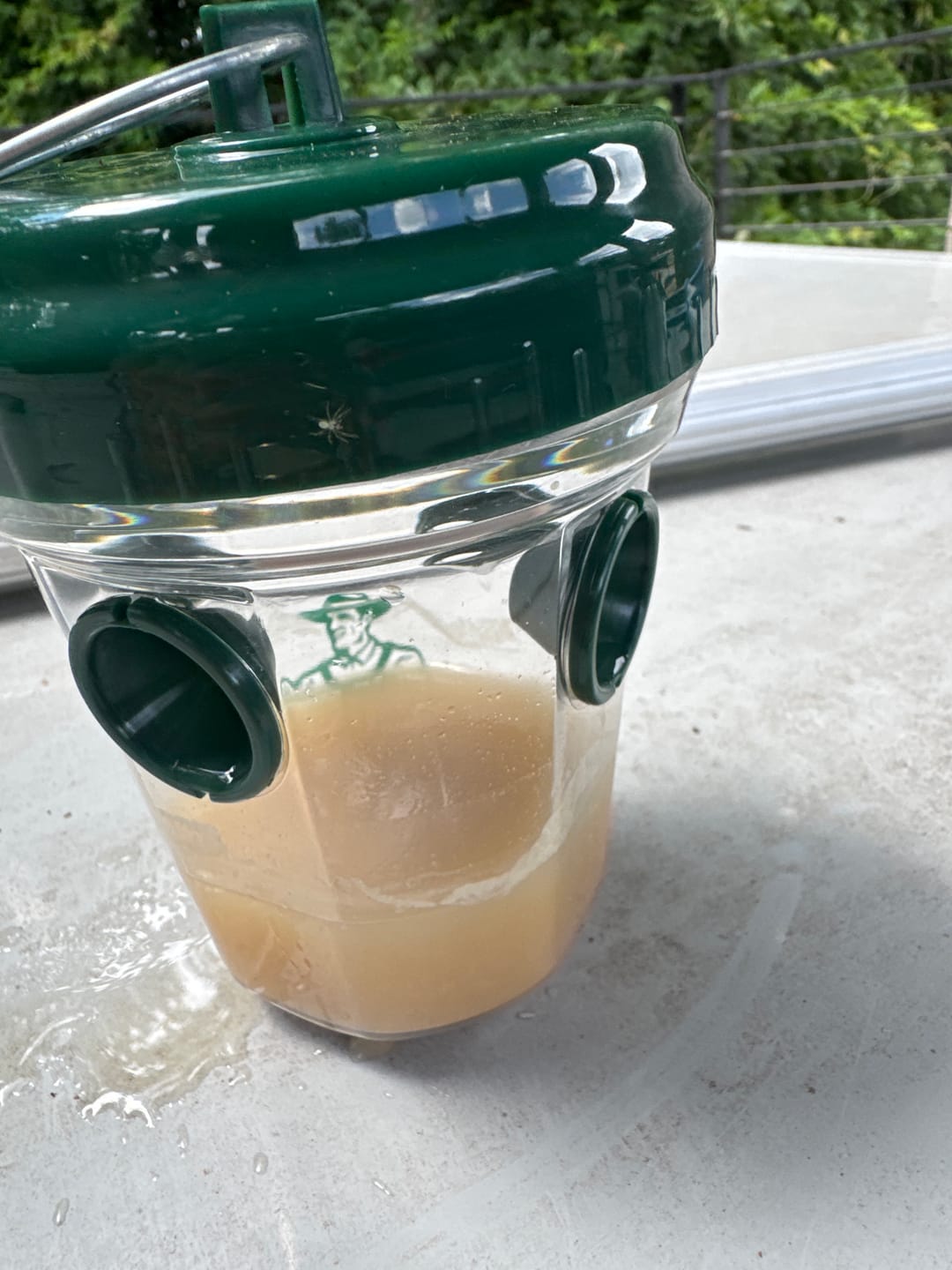 Customer photo review of Mosquito TNT 2.0