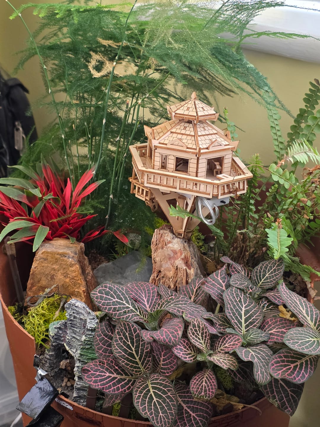 Customer photo review of Woodland Outpost