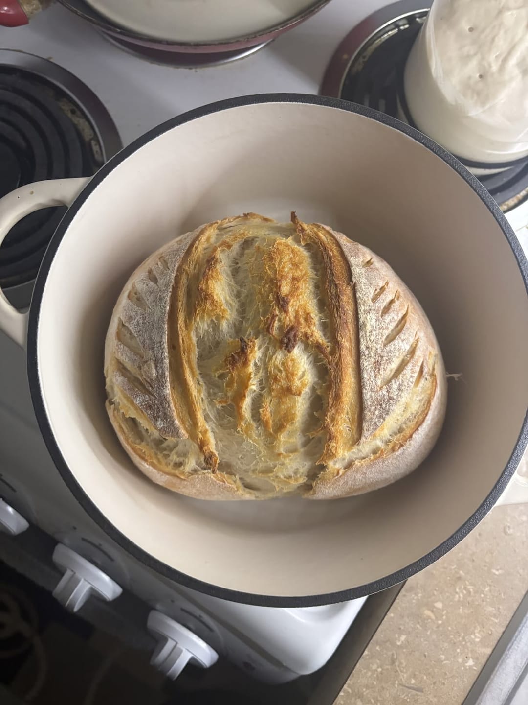 Customer photo review of Premium Heritage 100% Cotton-Beeswax Bag