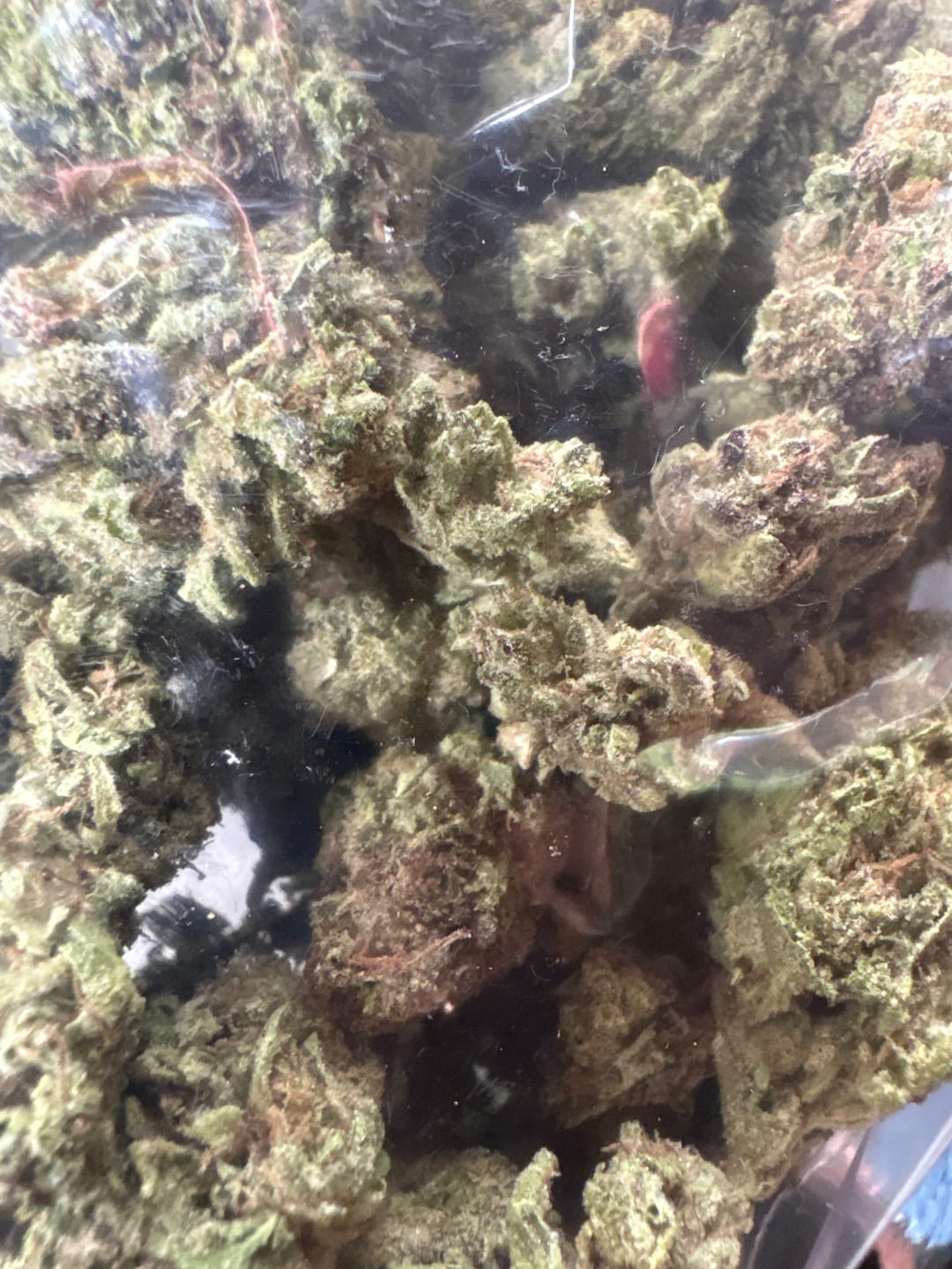 Customer photo review of Black Cherry Runtz - 28 Grams - Indica
