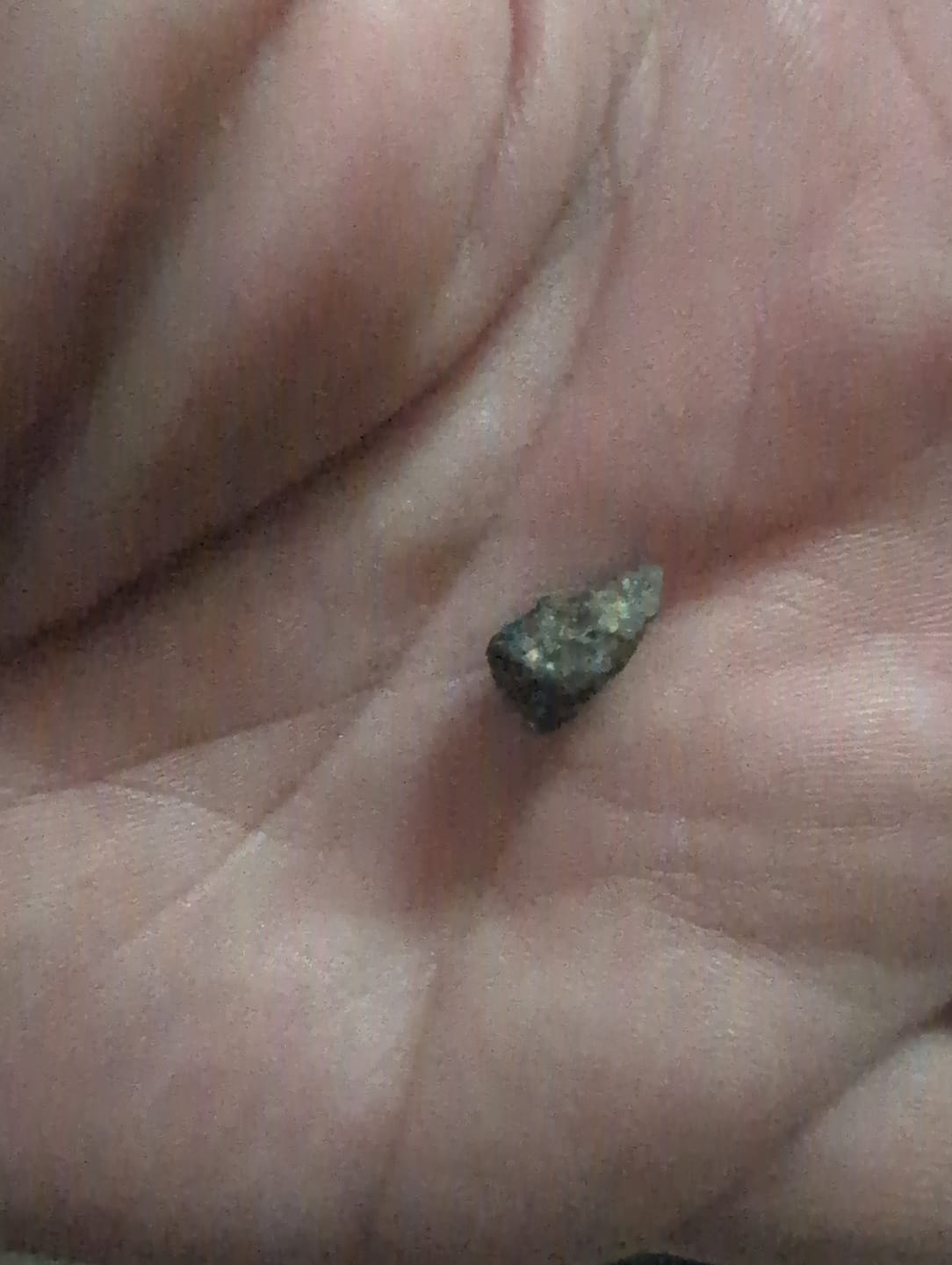 Customer photo review of Chem Dawg - Minis - 28 Grams - Hybrid