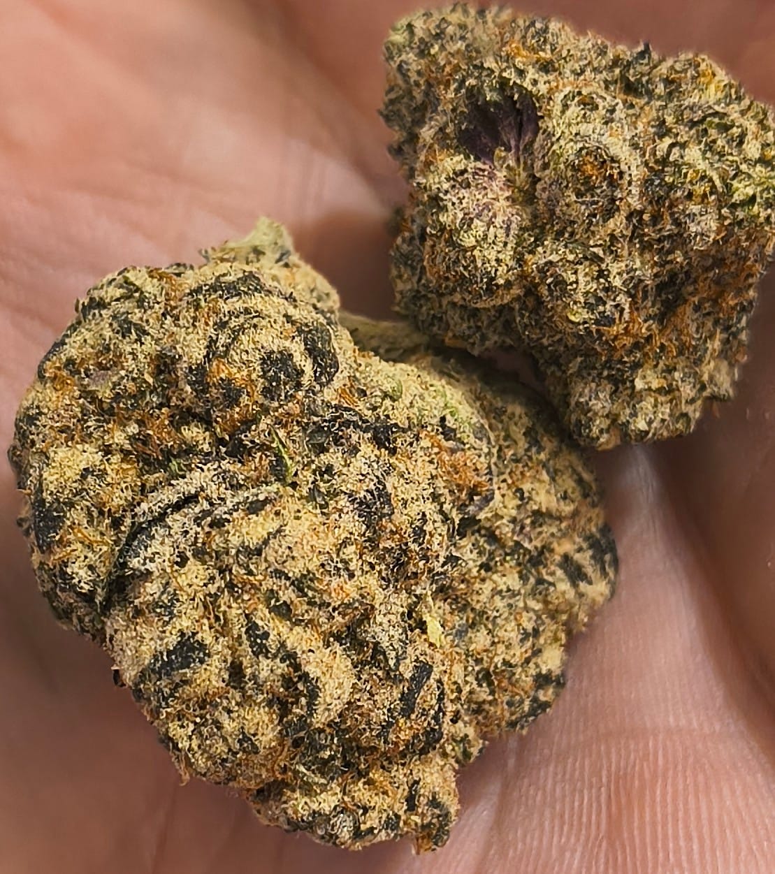 Customer photo review of Grape Gas Mask Exotic THCA