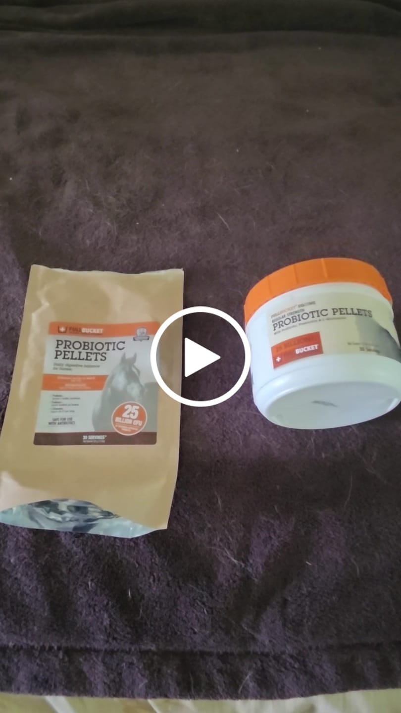 Customer video review of Equine Probiotic Pellets