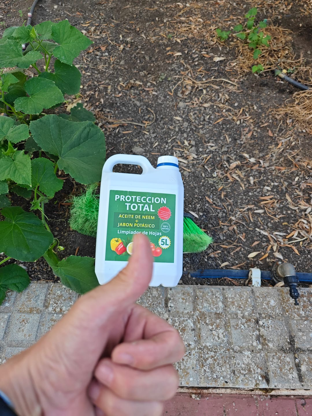 Customer photo review of FERTIBONO PROTECCIÓN TOTAL | Solución Multiusos Natural para Plantas |5 l| Jabón Potásico + Aceite de Neem | Ideal para Huertos y Jardines