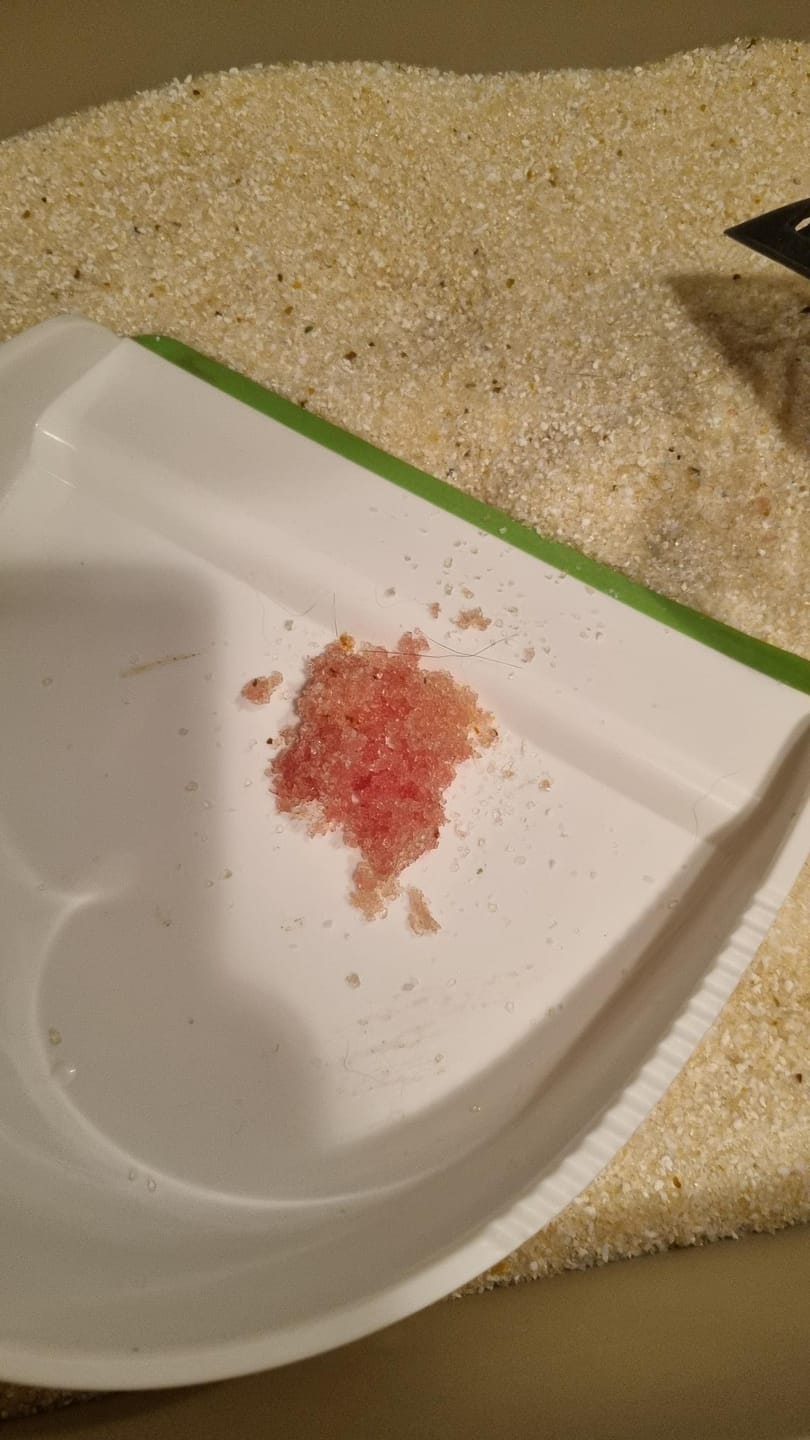 Customer photo review of Fit Litter