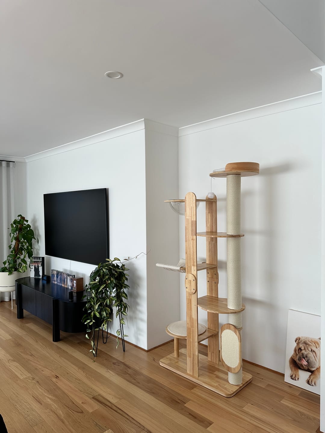 Customer photo review of Solid Wood Multi-Level Cat Tower - 183cm