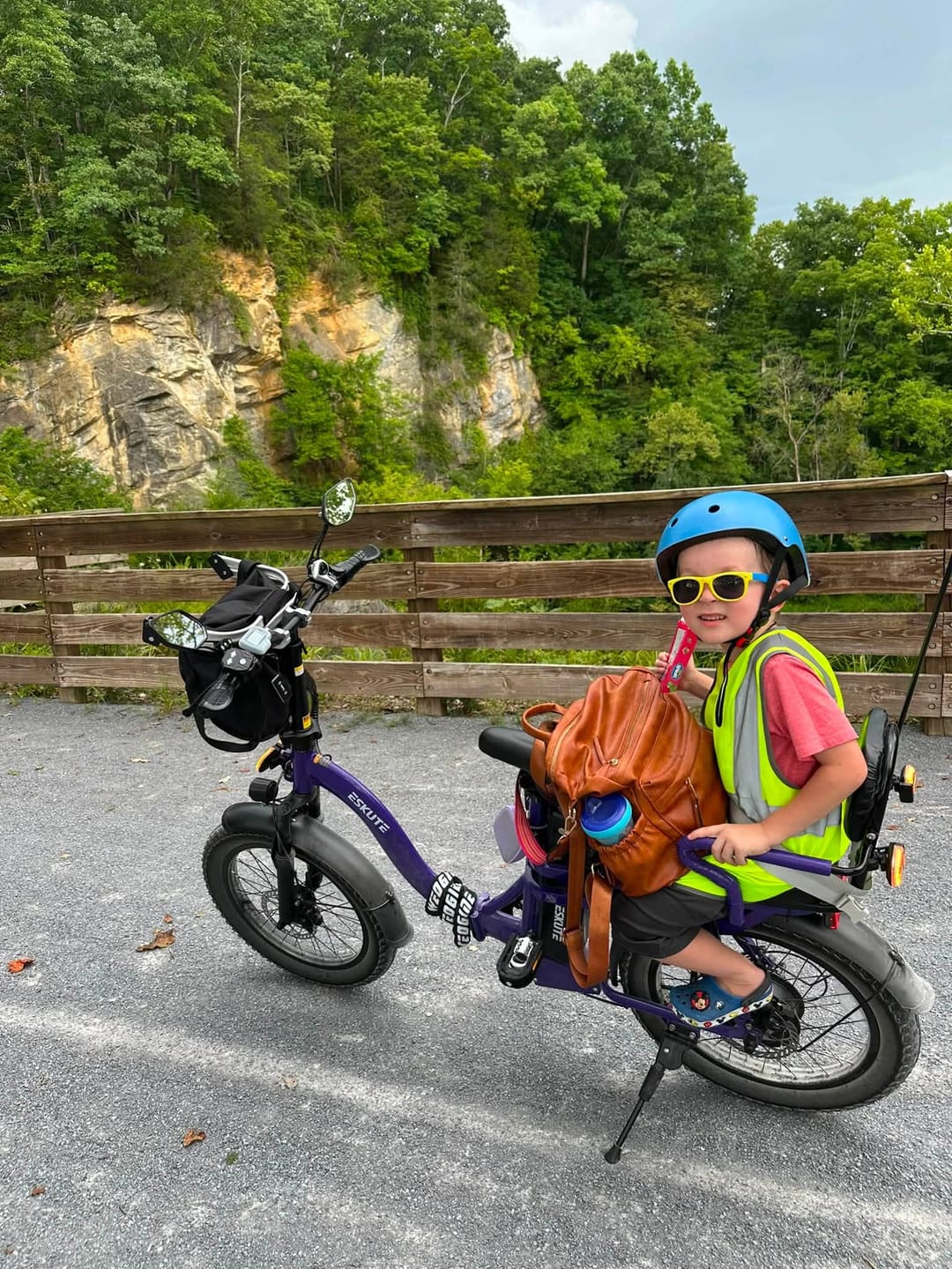 Customer photo review of Eskute® D200 Folding Electric Bike for Adults