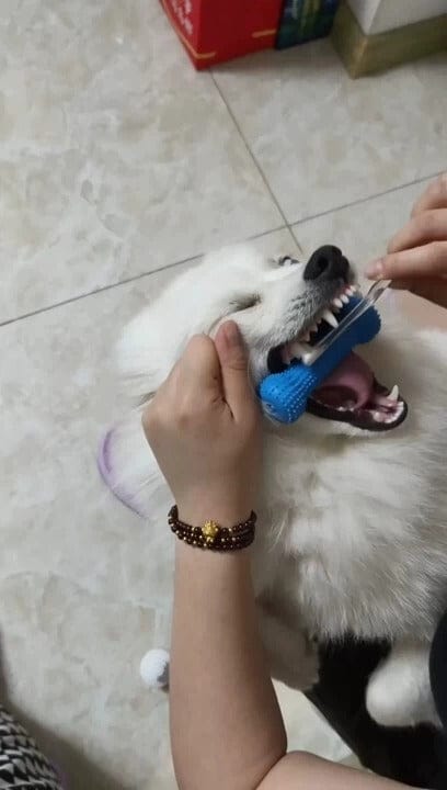 Customer photo review of Calming Assistant