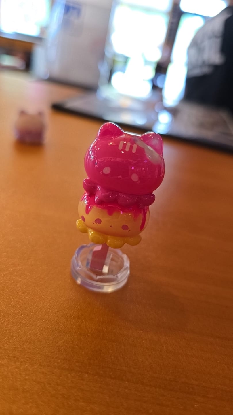 Customer photo review of Octcats' Ice Cream Series Mini Blind Box