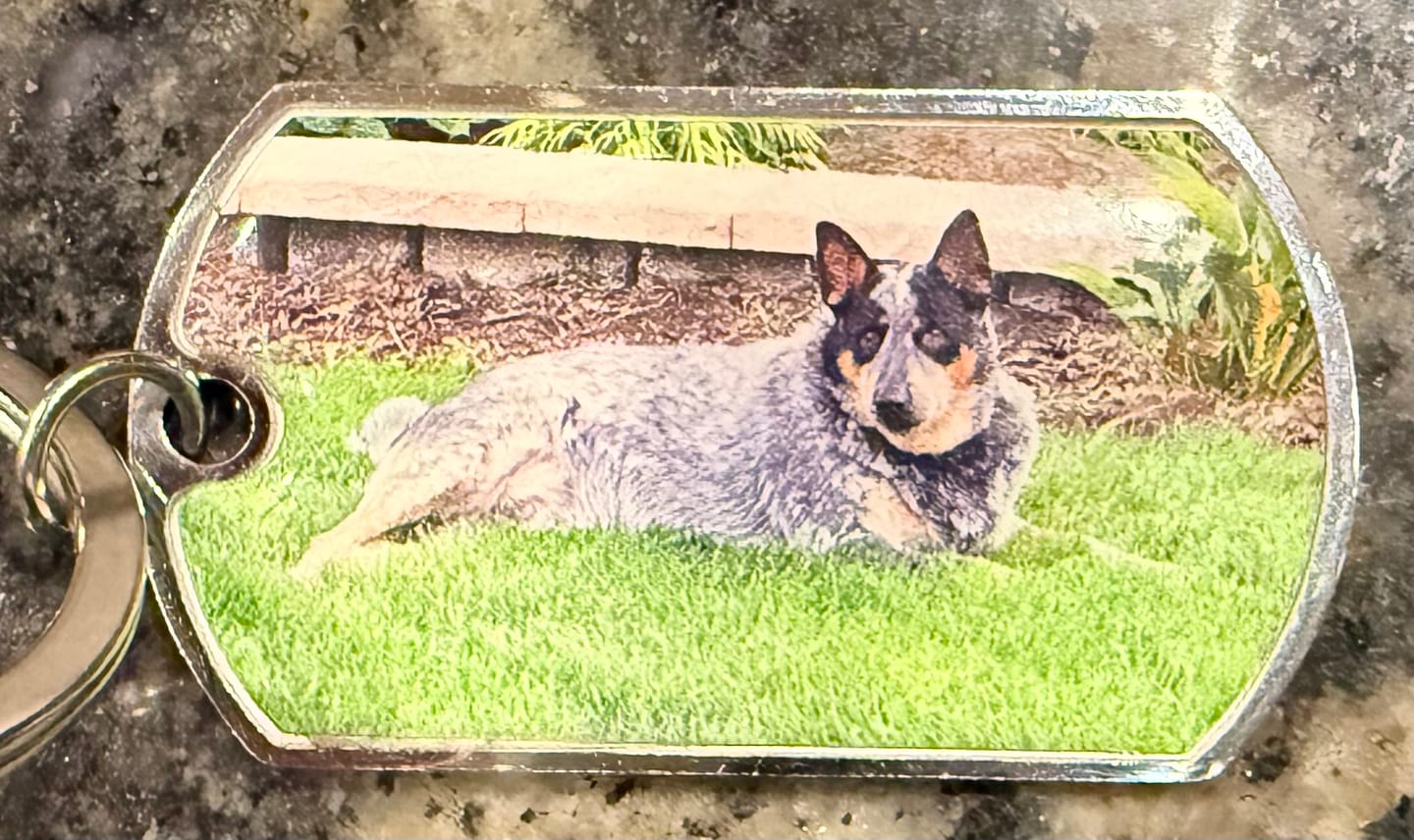 Customer photo review of Personalized Pet Keychain