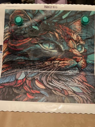 Customer photo review of Stained Glass Majestic Prism Cat (Diamond Painting)
