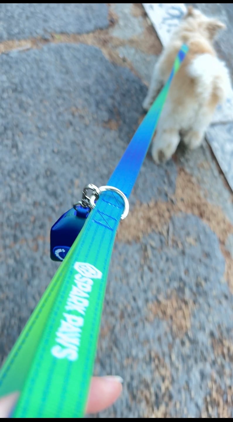 Customer photo review of Leash and Poop Bag Holder Set - Lime Wave