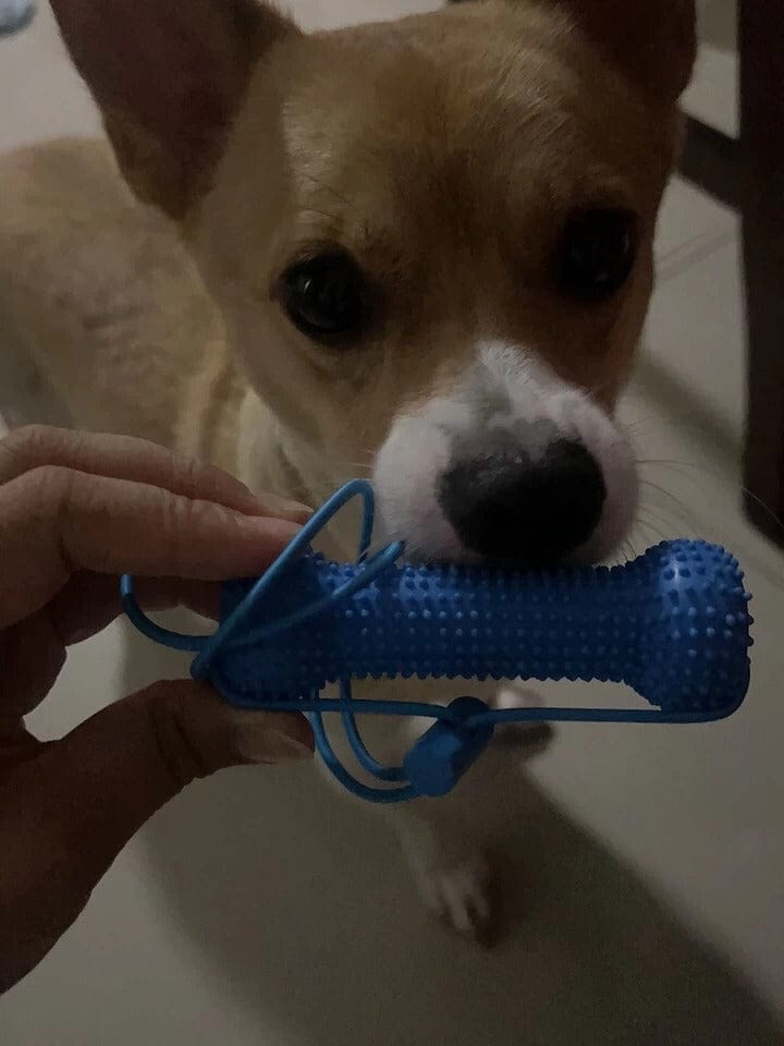 Customer photo review of Calming Assistant