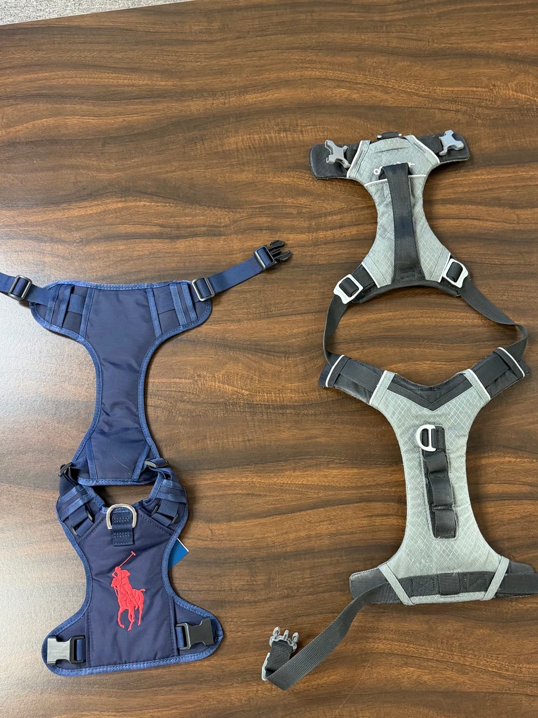 Customer photo review of Polo Ralph Lauren Nylon Dog Harness