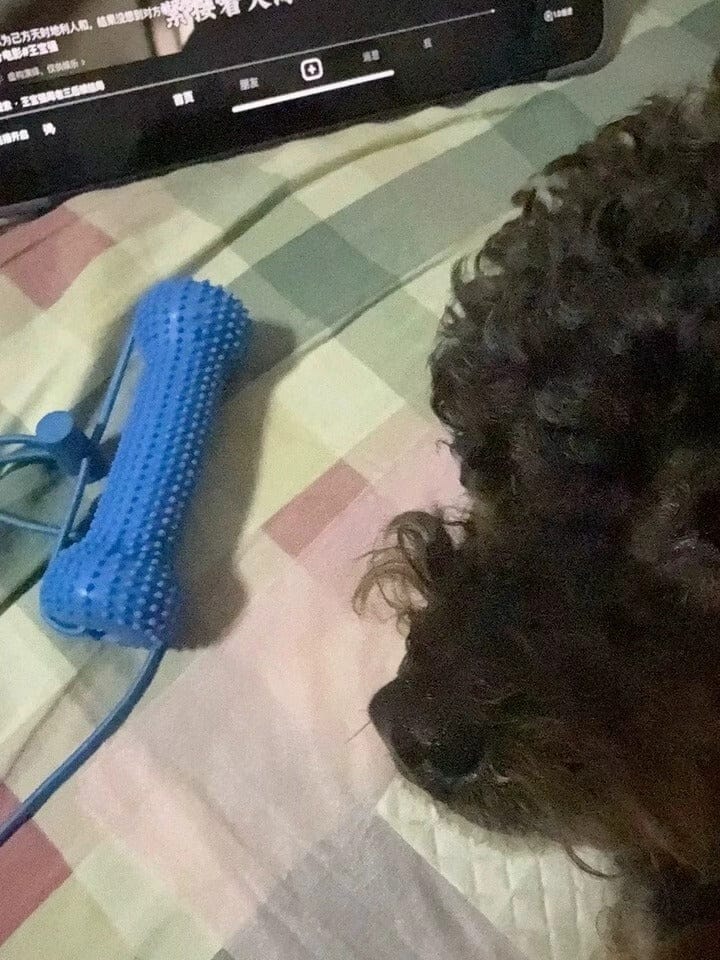 Customer photo review of Calming Assistant