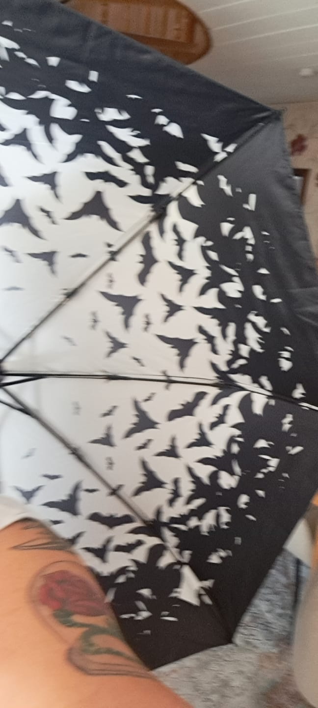 Customer photo review of Spookula Regenschirm Fledermaus – Taschenschirm mit Dracula Design OTOTO