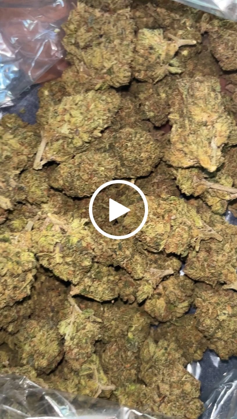 Customer video review of Jet Fuel Gelato - Bulk - Hybrid