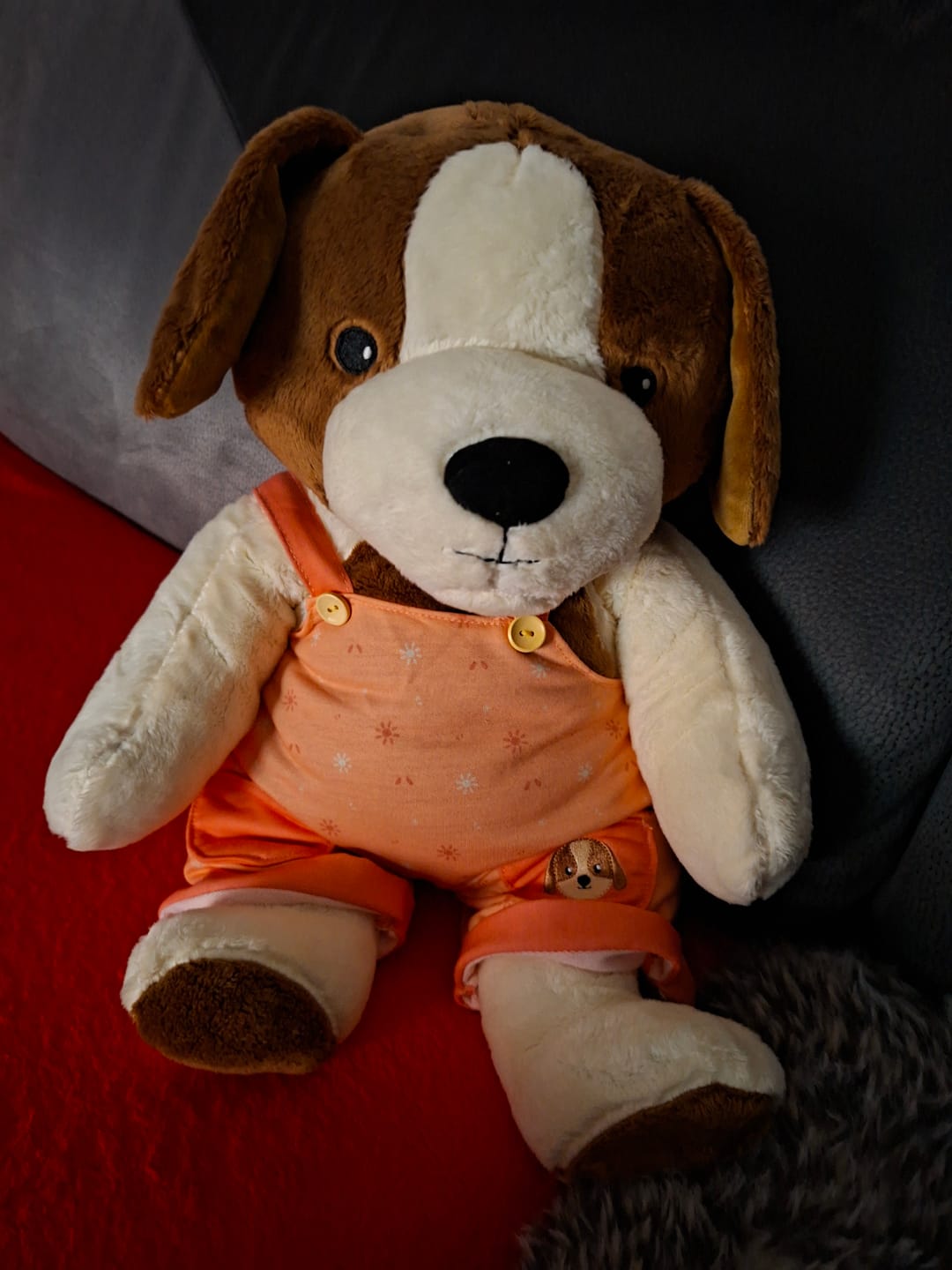 Customer photo review of Lotgenootje Hond 2kg