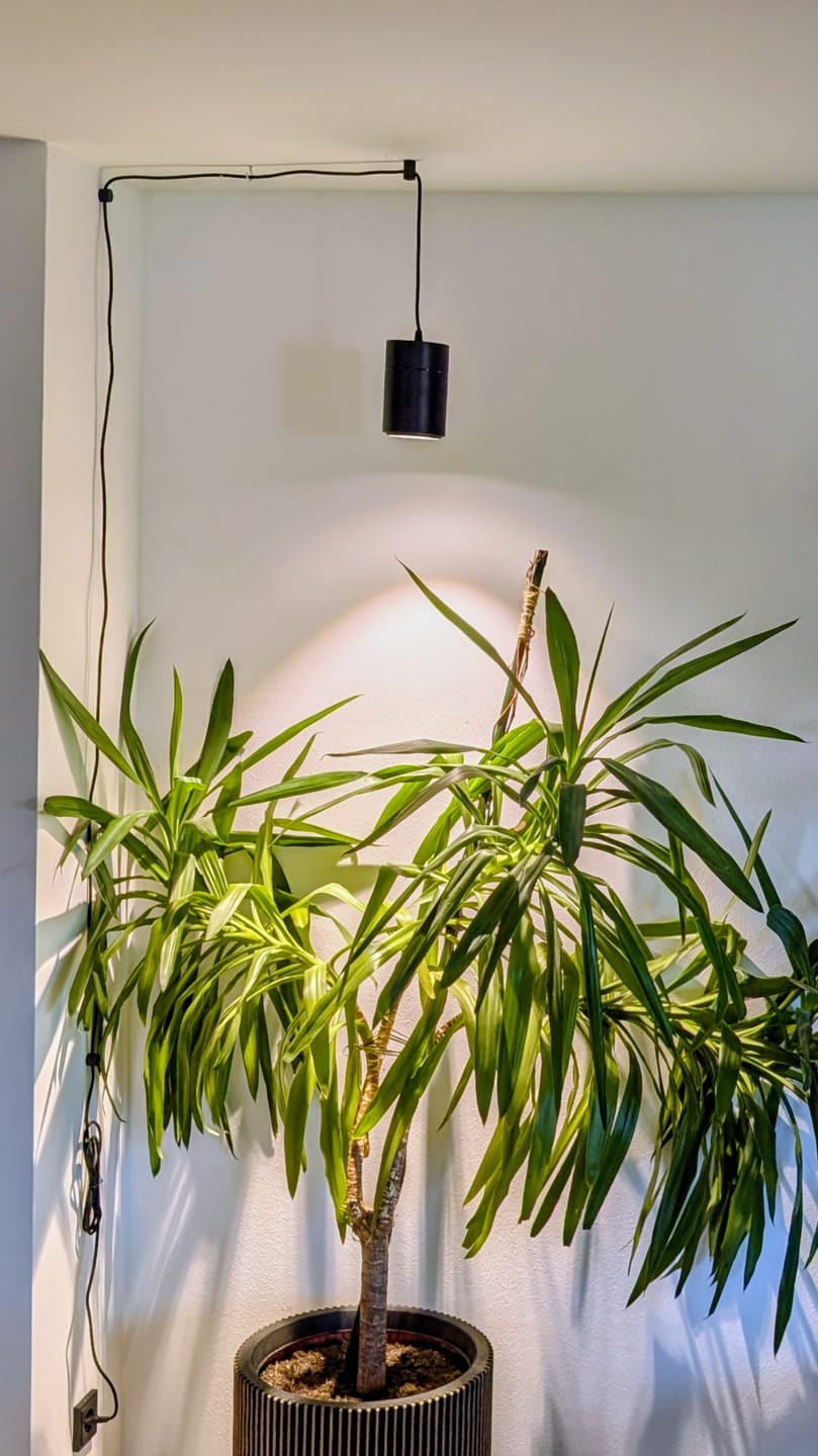 Customer photo review of Claria LED-Pendel­lampe für Pflanzen