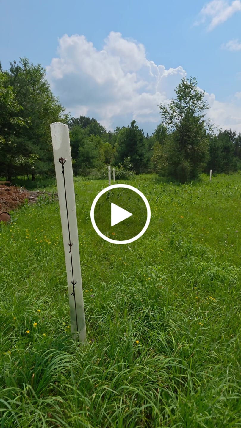 Customer video review of Hybrid Chestnut