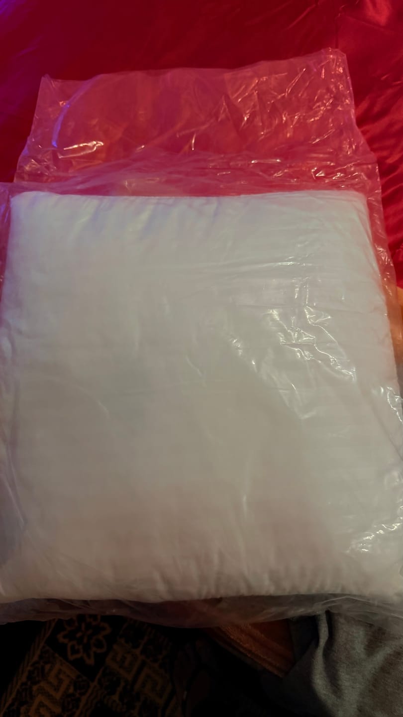 Customer photo review of Two Filled Cushions FC-01