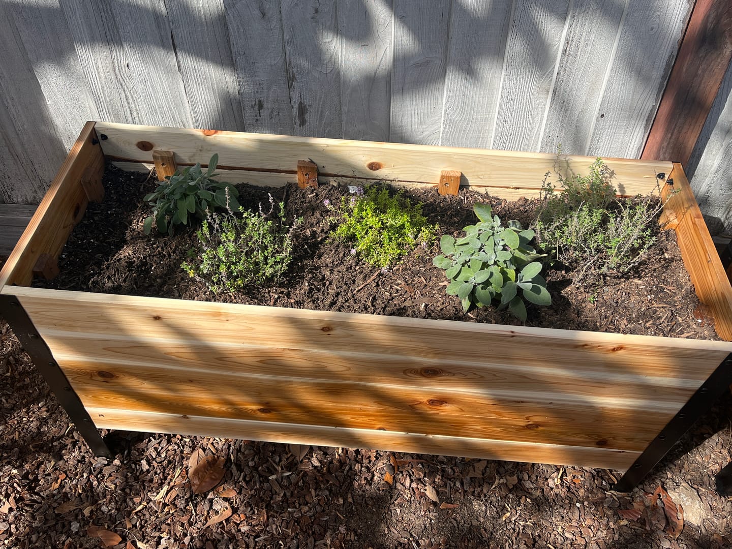 Customer photo review of 18" x 48" Raised Garden Bed - 30" TALL - Select Grade