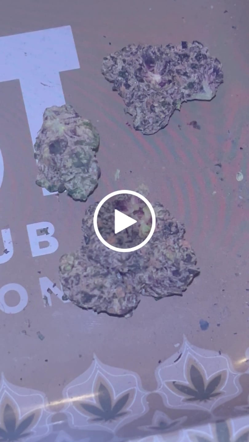 Customer video review of Toad Venom
