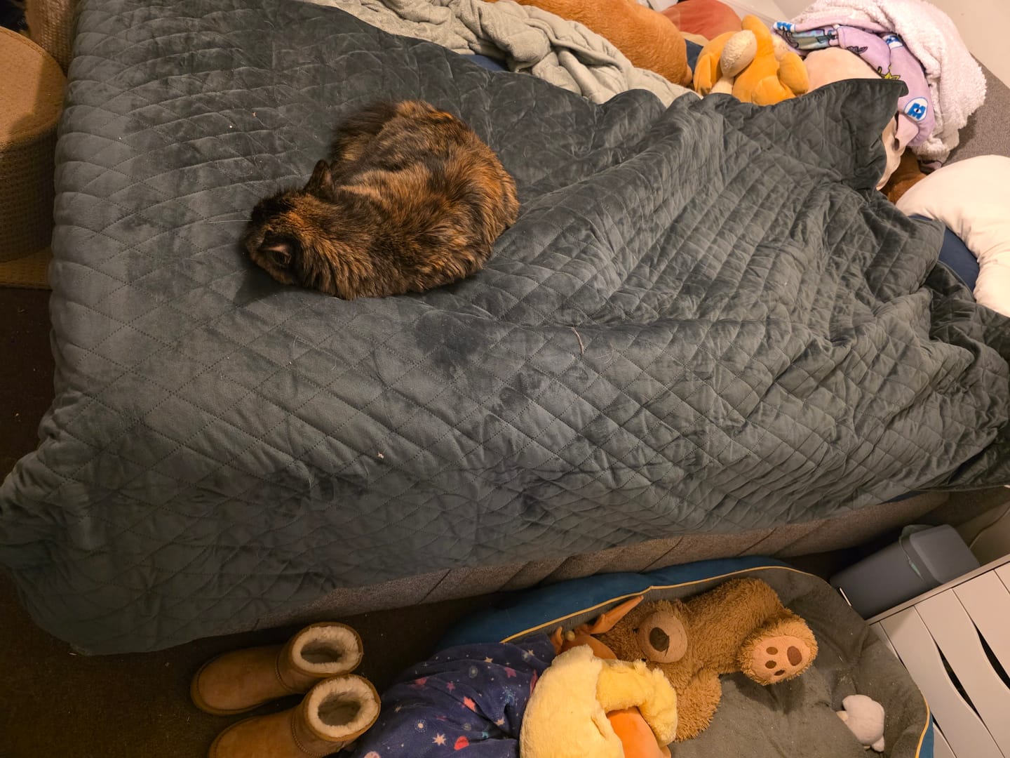 Customer photo review of Weighted Blanket II