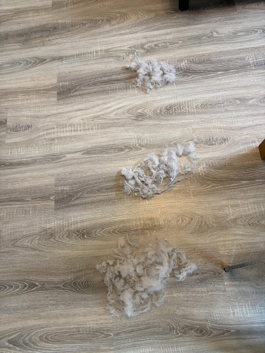 Customer photo review of Aktoclean™️ PawSwipe™️ | Gant électrostatique anti-poils
