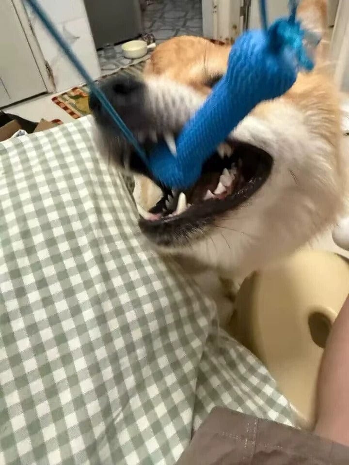 Customer photo review of Calming Assistant