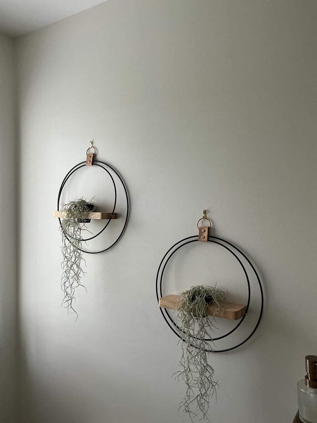 Customer photo review of Air Plant Shelf + Pot