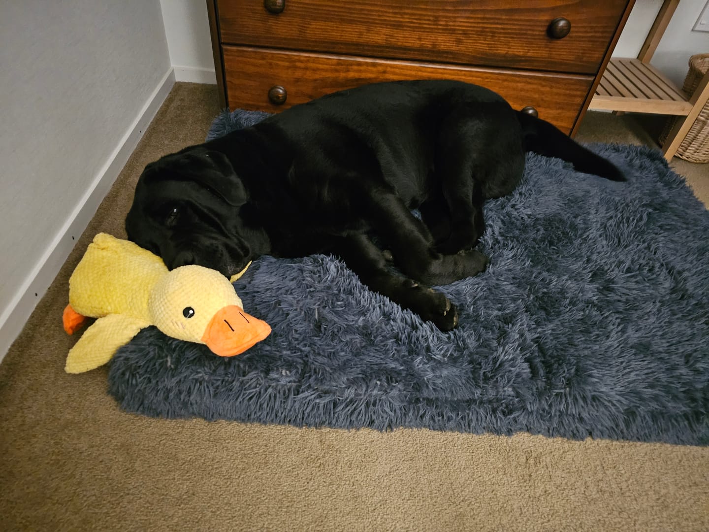 Customer photo review of Brooklyn® Ultra Memory Foam Bed