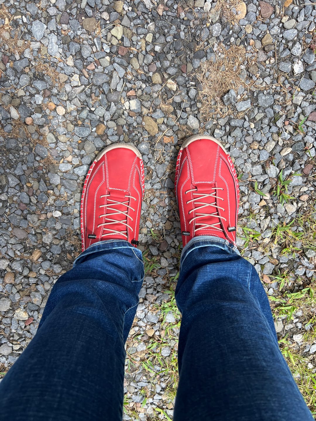 Customer photo review of Barevita Mia | Step In. Walk Free.