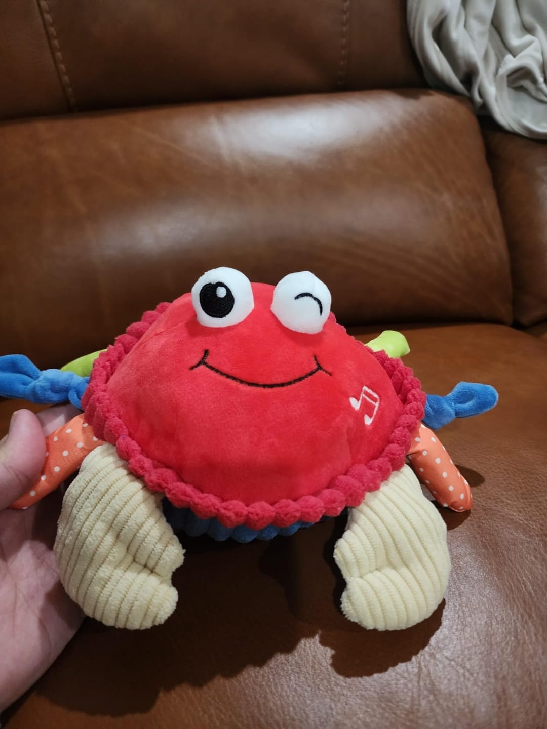 Customer photo review of Crabby GO™- Il Granchietto Interattivo che insegna a gattonare giocando