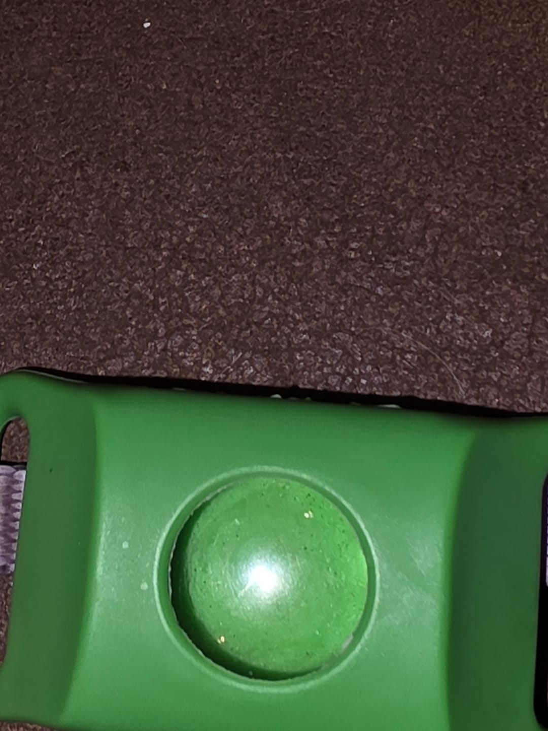 Customer photo review of FurLife™ 12 Months Flea and Tick Free